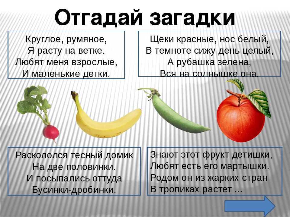 Загадки про огород и овощи для детей с ответами