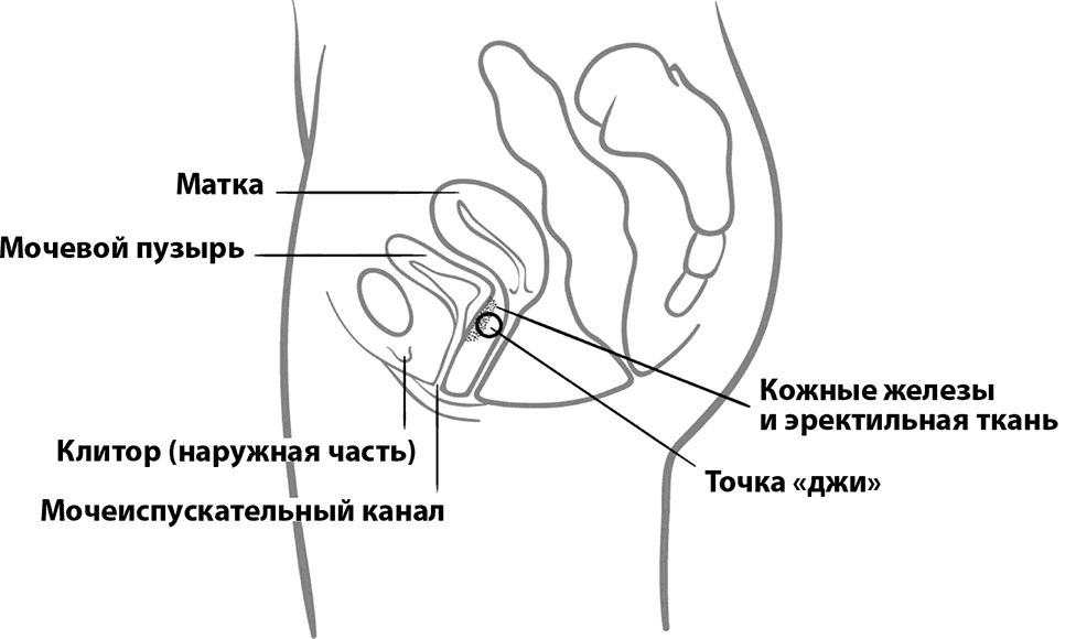 15 лучших способов чем и как сделать самой себе приятно девушке (мастурбировать) без помощи парня рукой и не только