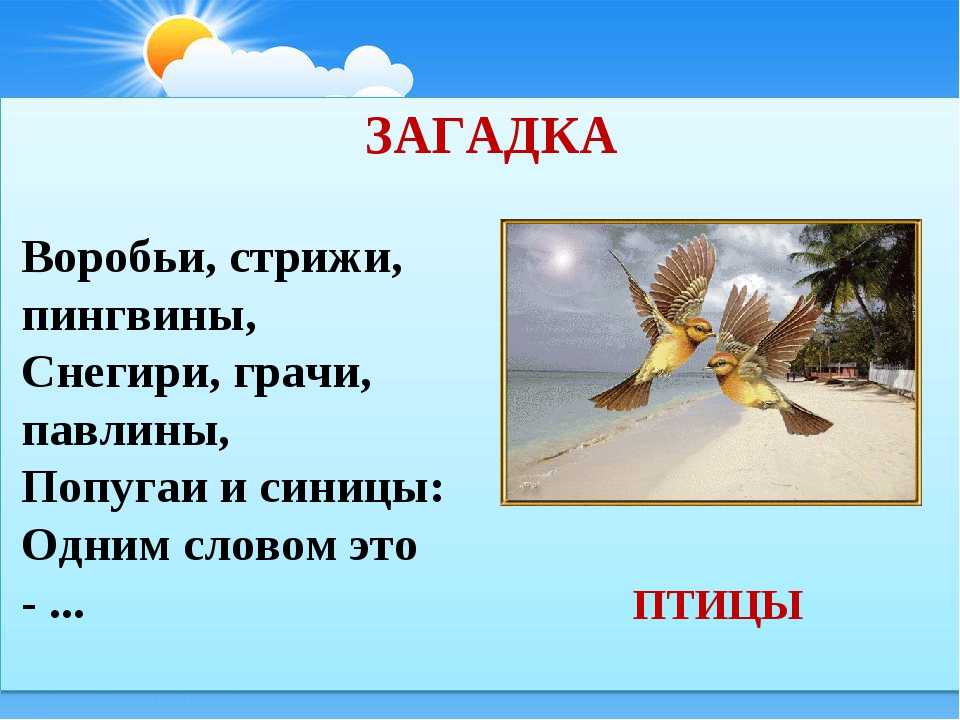 Детские загадки про лето с ответами — подборка из 140 лучших загадок для дошкольников и учеников 1-3 классов