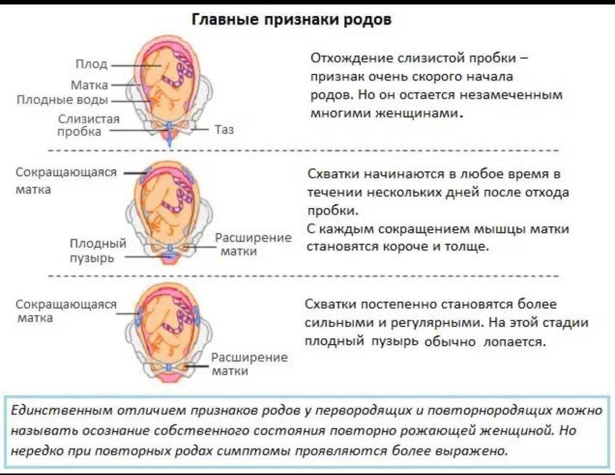 Как начинаются схватки и сколько длятся, как понять, что начались роды, каковы ощущения?