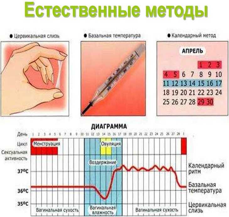 Какая должна быть базальная температура (бт) во время месячных