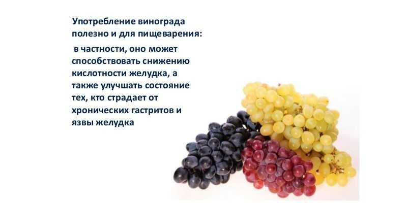Питание детей грудного и раннего возраста