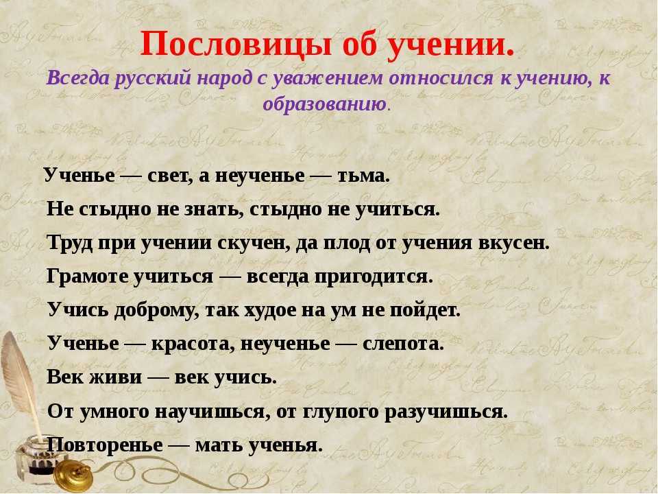 Загадки о школе – веселое занятие для детей