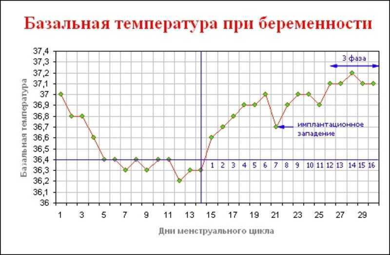 Базальная температура перед месячными: какая должна быть, норма при беременности | nail-trade.ru