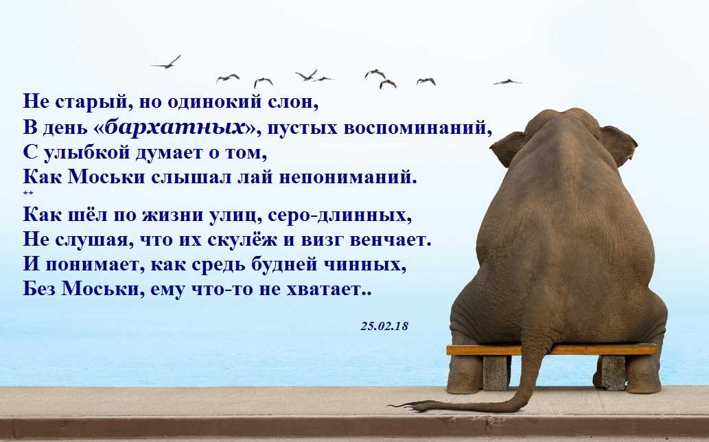Детские считалочки для самых маленьких и детей 2, 3 лет