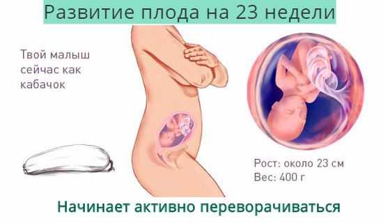 Что чувствует ребёнок в животе у мамы когда гладит живот, плачет