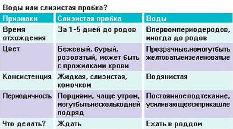 Отошли воды - через сколько рожать женщина не знает Во избежание осложнений необходимо обратиться в учреждение родовспоможения как можно раньше