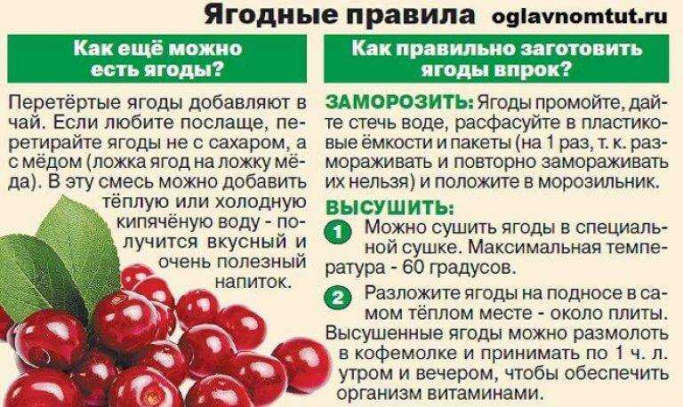 Сколько нужно клюквы. Клюква при сахарном диабете. Ягоды при сахарном диабете. Полезно ли есть клюкву. Ягоды полезные при диабете.