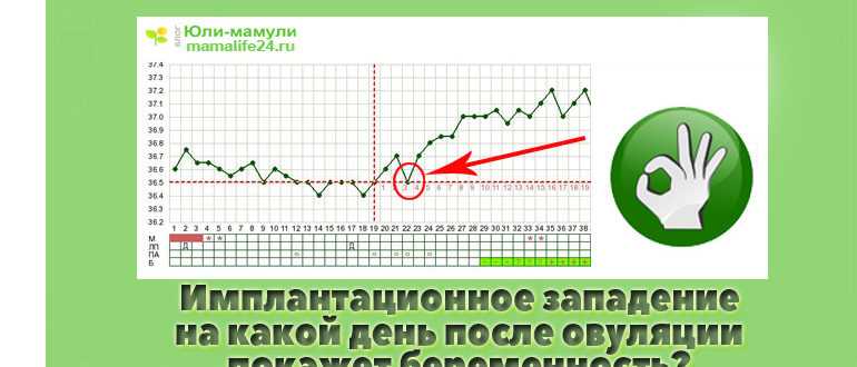 Первые признаки беременности - белая клиника