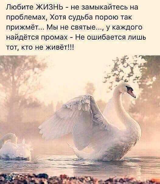 Словарь афоризмов и цитат александра лебедя. цитаты про лебедей — самое интересное в блогах