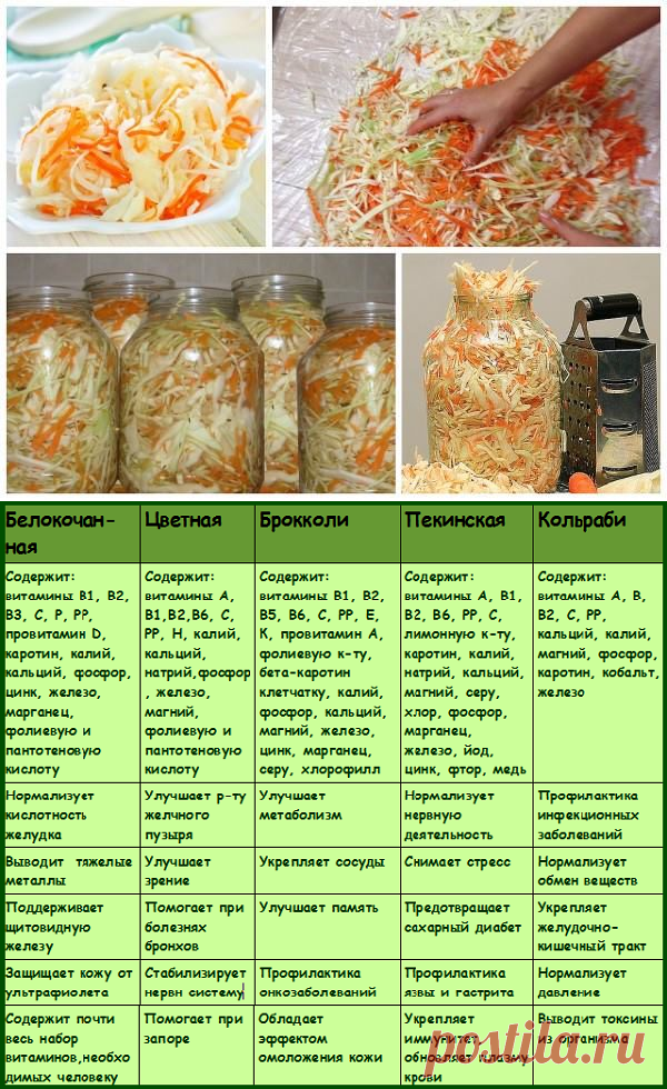 Хрустящая квашеная капуста — классические рецепты на зиму