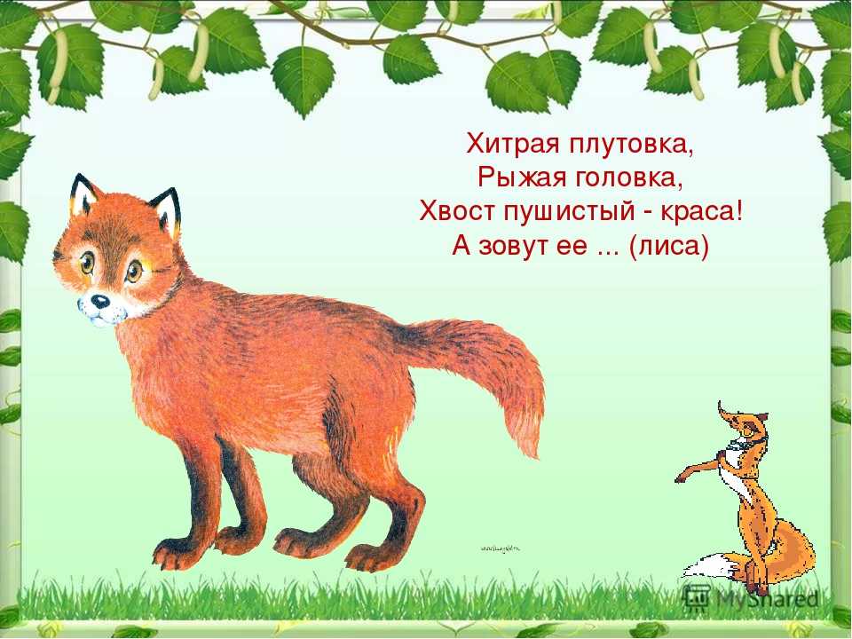 Конспект нод «заюшкина избушка». воспитателям детских садов, школьным учителям и педагогам - маам.ру