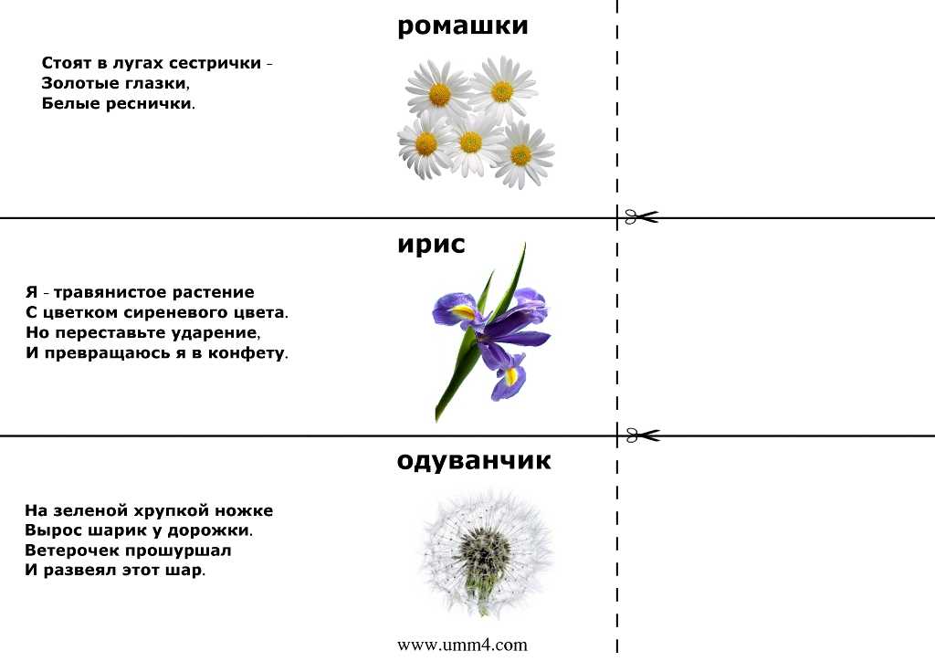 Стихи ппо мать-и-мачеху ростение - узнавалка.про