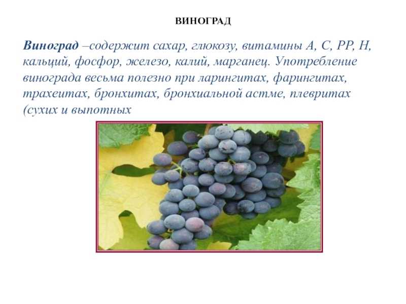 Когда можно давать ребенку виноград