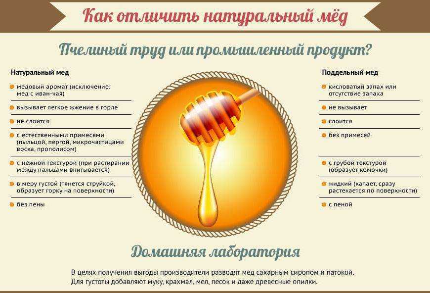 Какой мед полезнее: как отличить настоящий мед от подделки