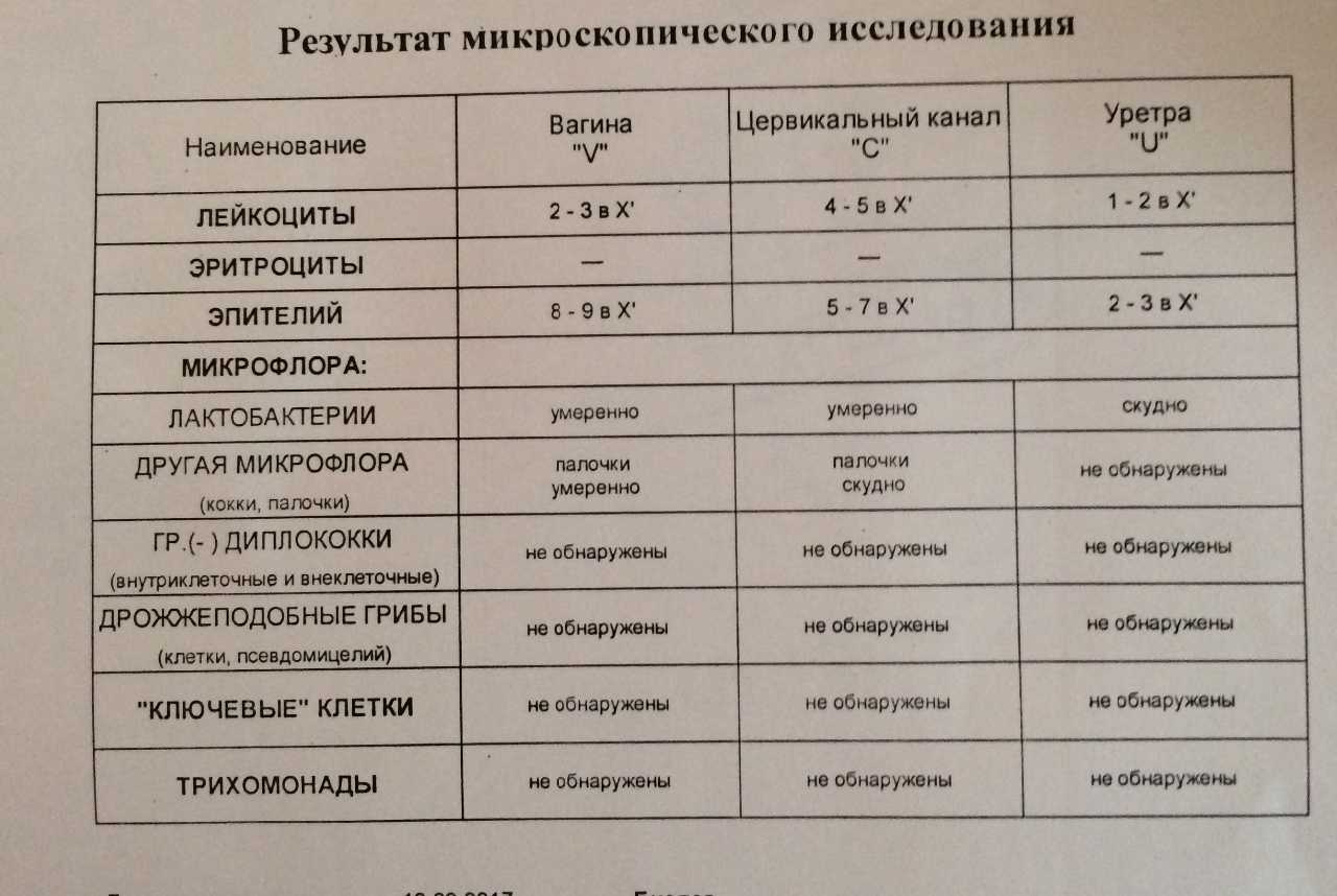 Повышеное содержание лейкоцитов в мазке у женщин