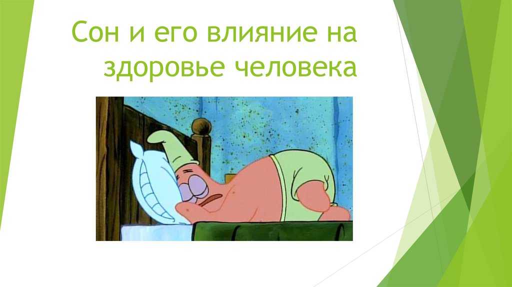Что такое быстрый и медленный сон, соотношение фаз