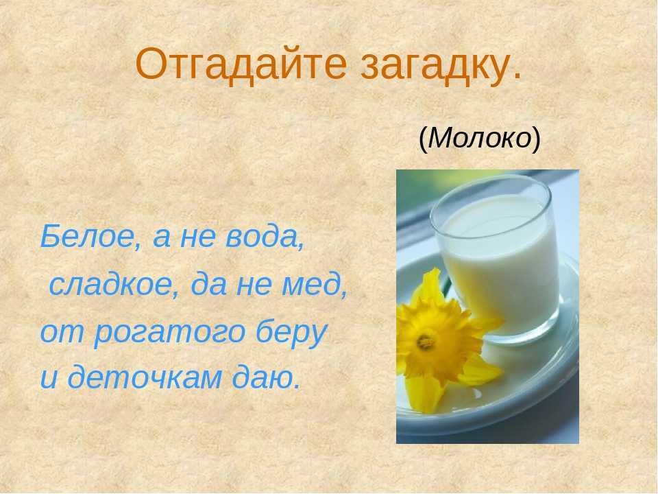 Загадки про еду для детей с ответами