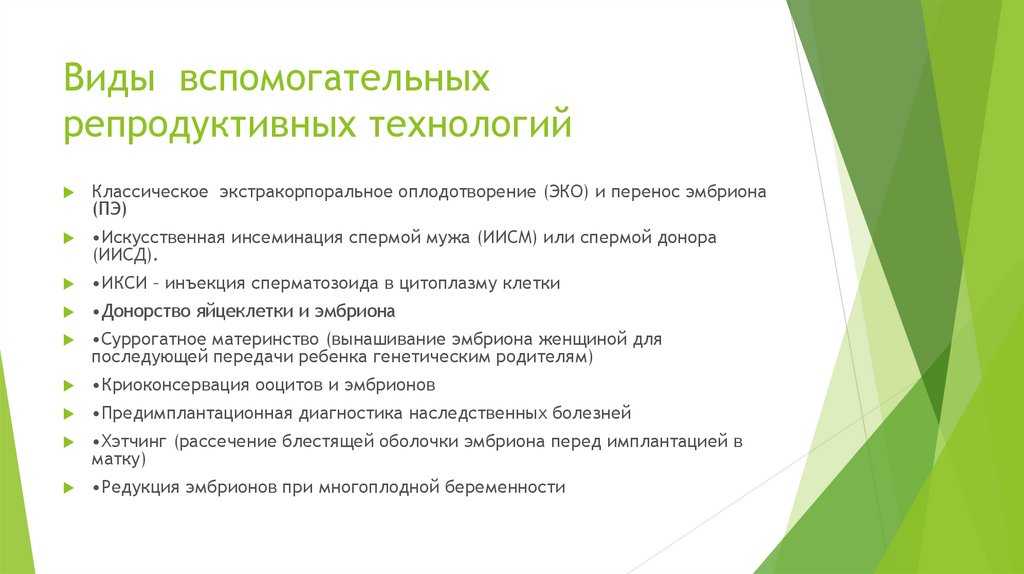 Эмбриологический этап программы эко - клиника remedi
