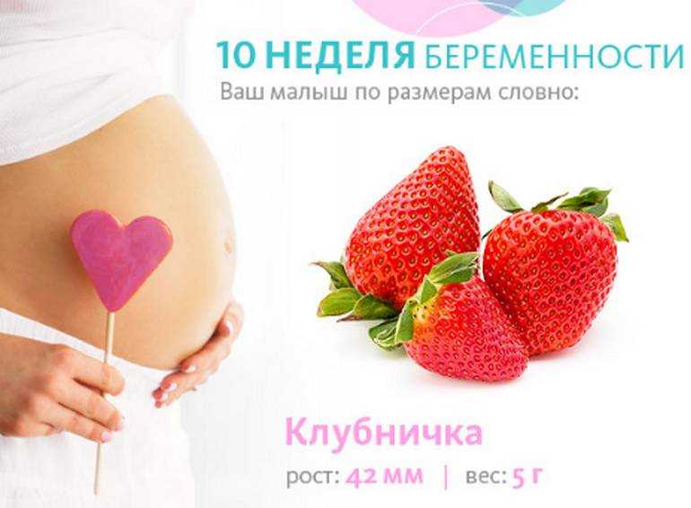 10 неделя беременности - фото и видео плода, развитие, фото живота, возможные болезни и анализы