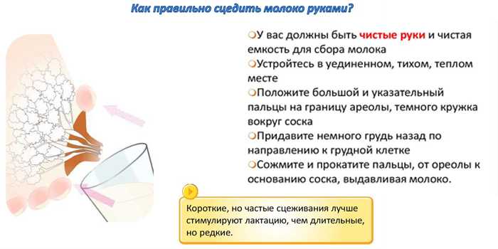 Как перетянуть грудное молоко правильно - методы перевязки груди для предотвращения лактации, нюансы и риски