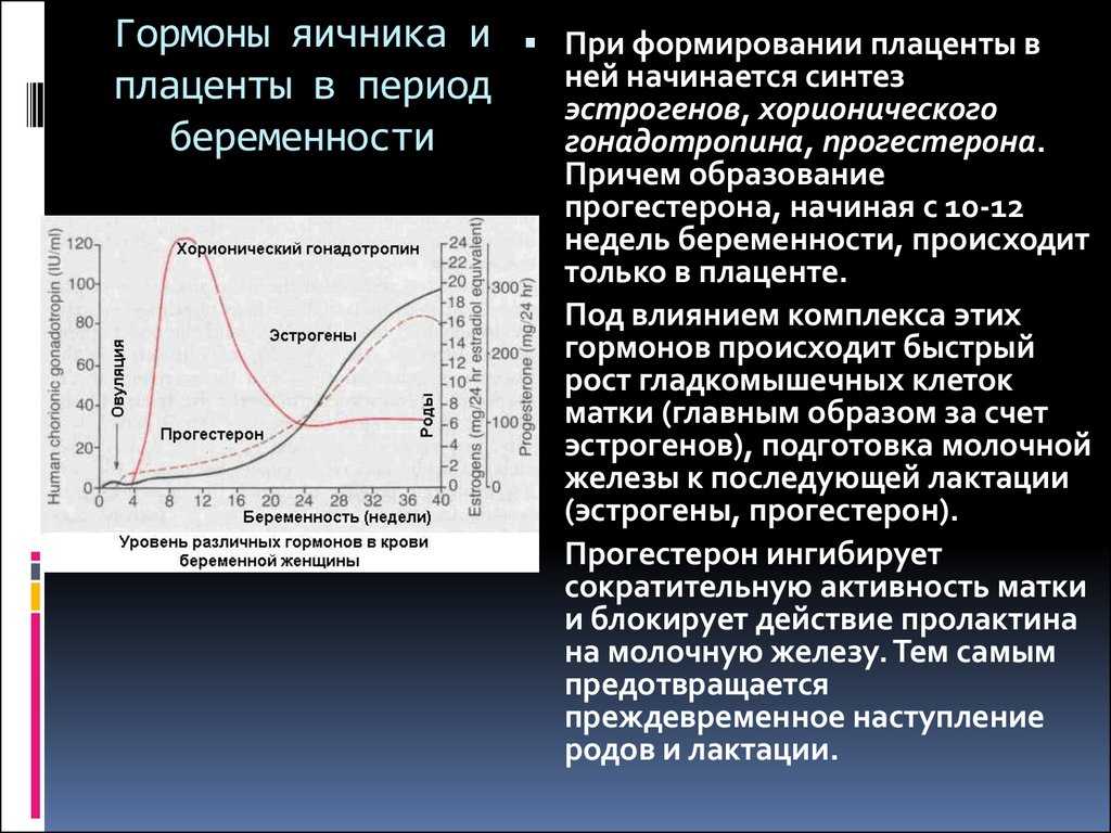 Женский гормон эстроген: симптомы недостатка и избытка, лечение