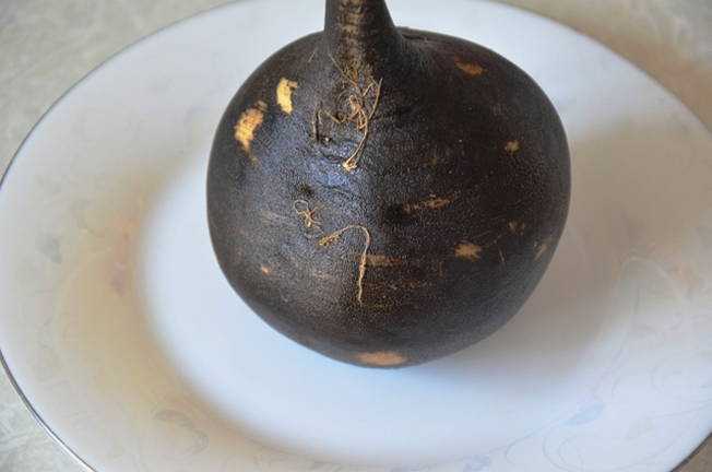Редька с медом от кашля: черная, зеленая, белая