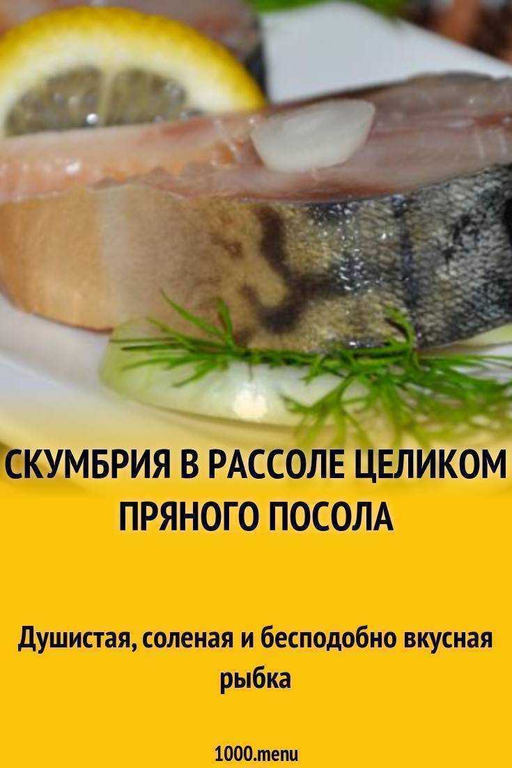 Как солить скумбрию в домашних условиях: быстро за 2 часа, без рассола, в рассоле, с маслом (рецепты с фото)