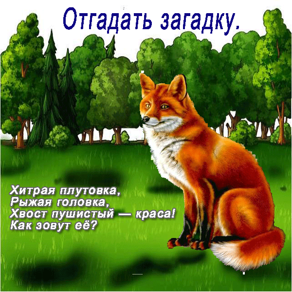 Детские загадки про диких животных