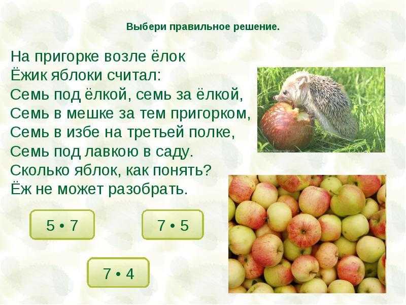 Загадка про уравнение для началки