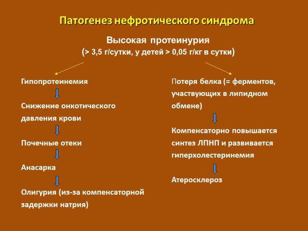 Синдром альпорта: жизнь с заболеванием