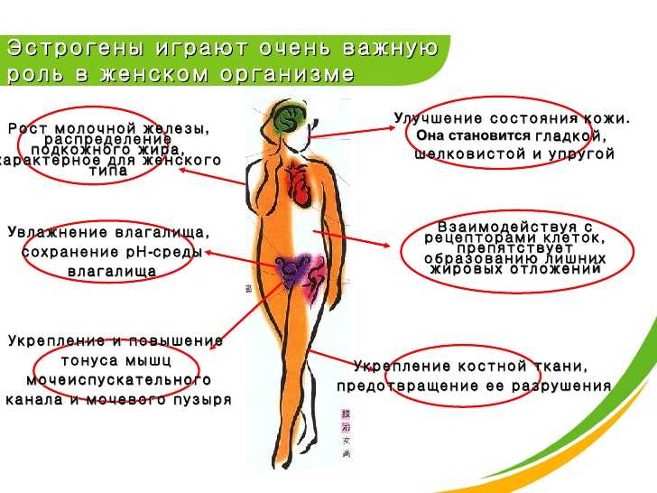 Гиперандрогения у женщин. диагностика и лечение. - медицинский центр «путь к здоровью»