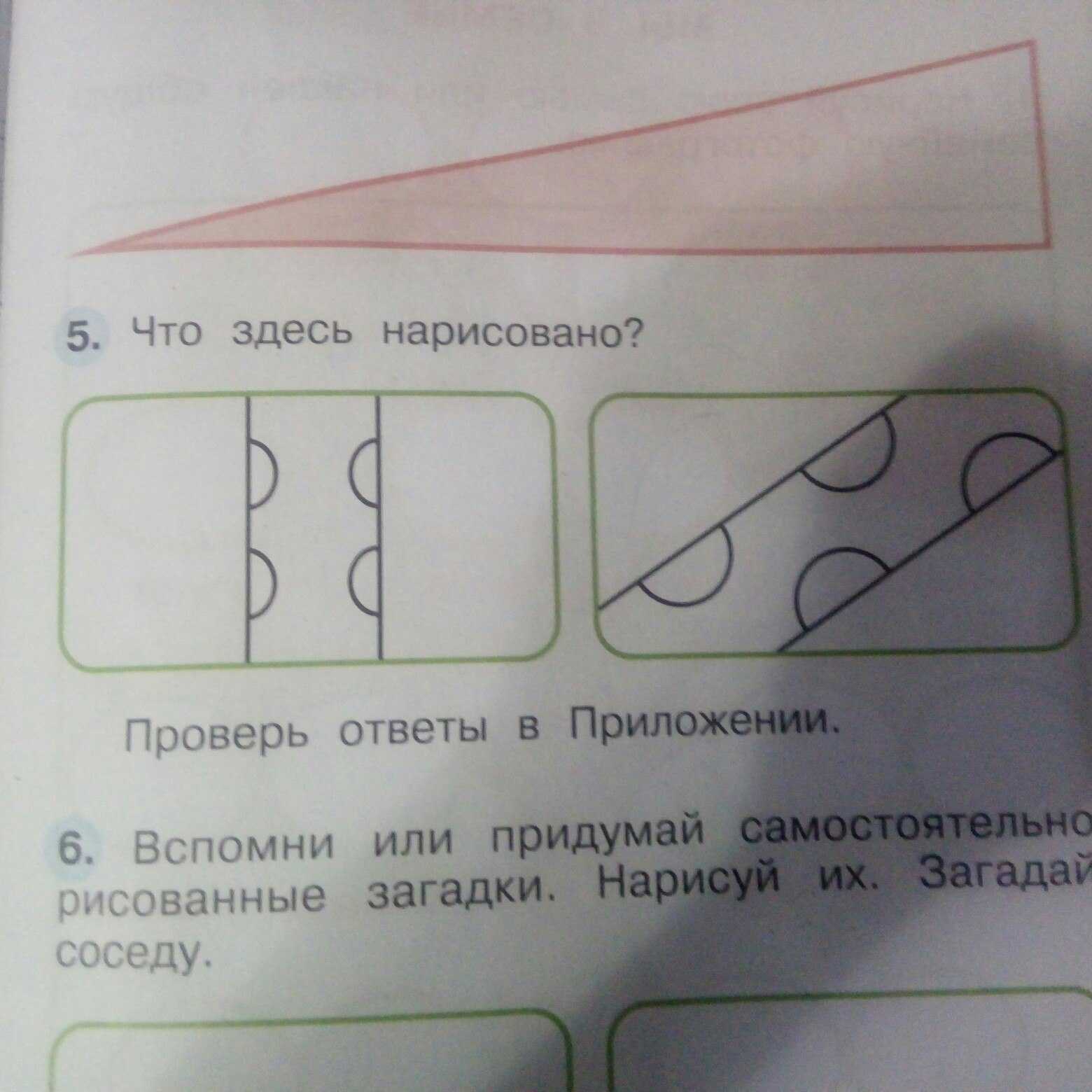 100 загадок про насекомых: изучаем маленьких букашек