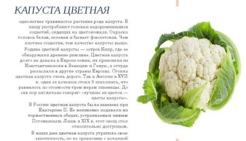 Можно ли цветную капусту при грудном вскармливании?