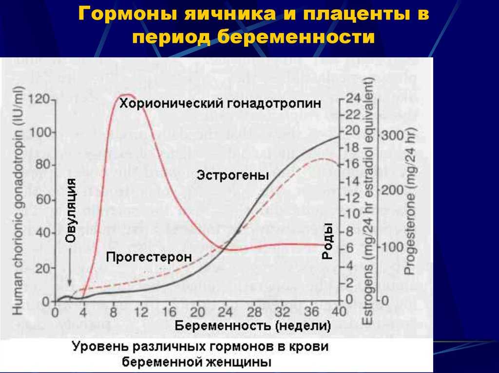 Женские гормоны — что это такое и какова их роль в женском организме?