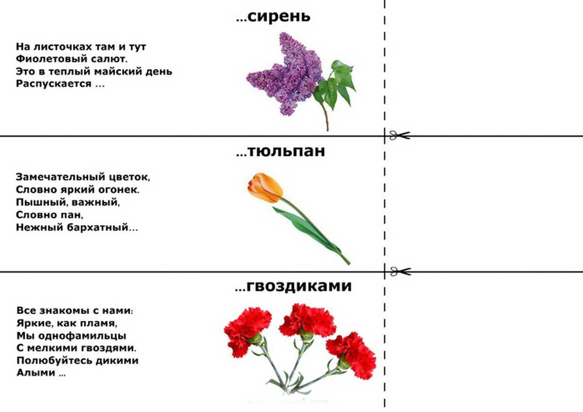 Загадки про растения для 1 класса проект