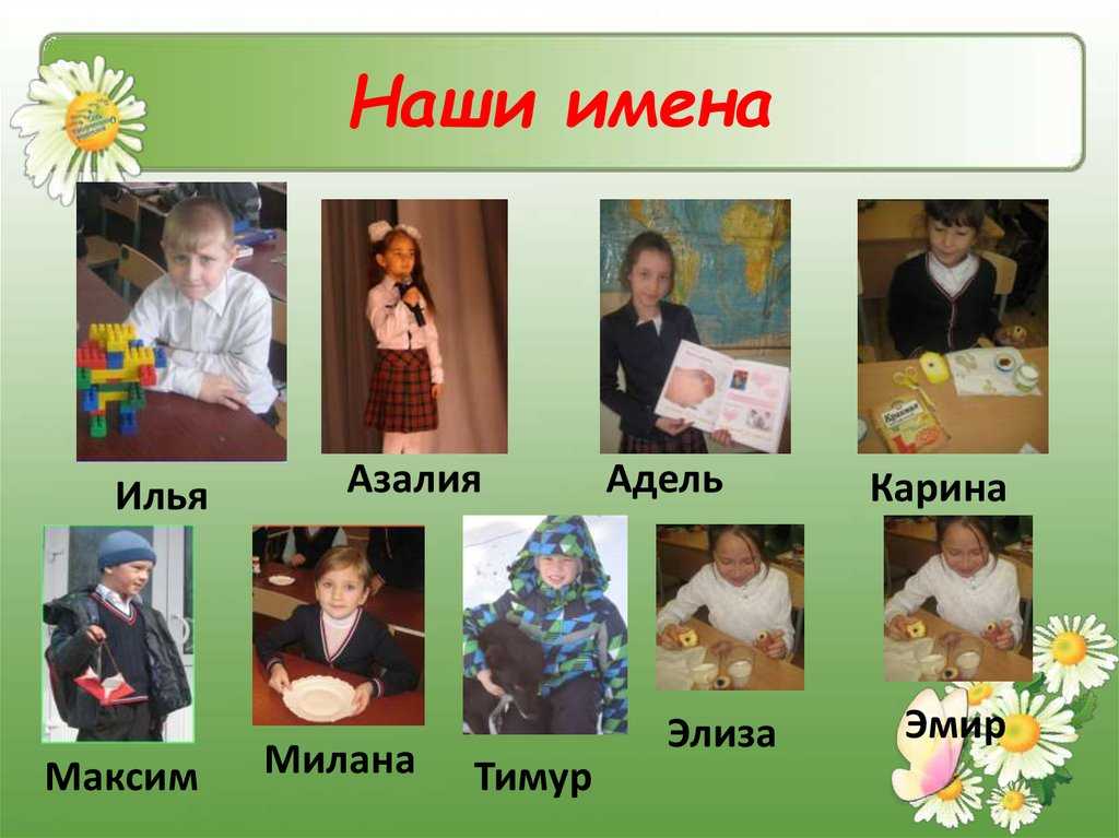 Азалия