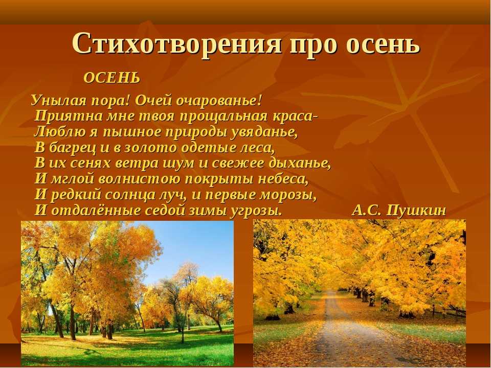 Стихи на башкирском языке про учителя. эссе учителя башкирского языка и литературы