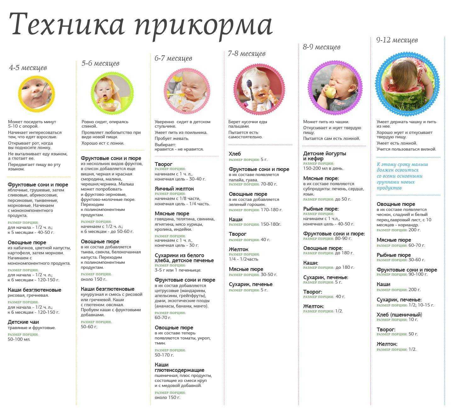 Прикорм по месяцам при грудном вскармливании: таблица
