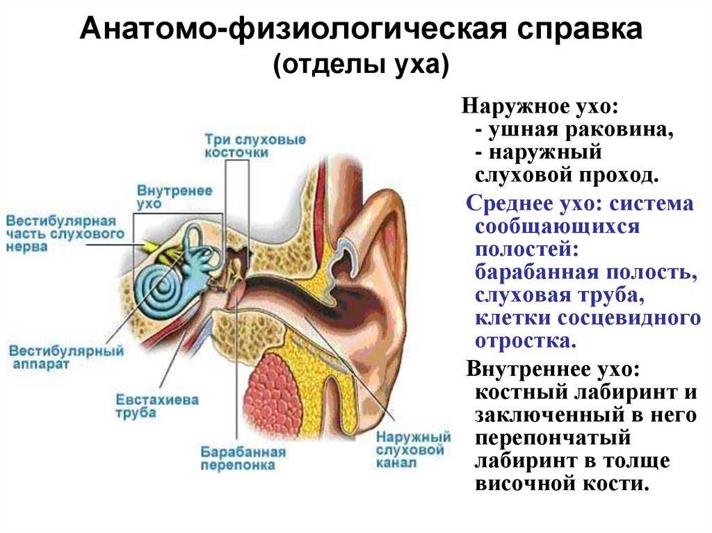 Средний отит – это воспалительный процесс, который развивается в среднем ухе