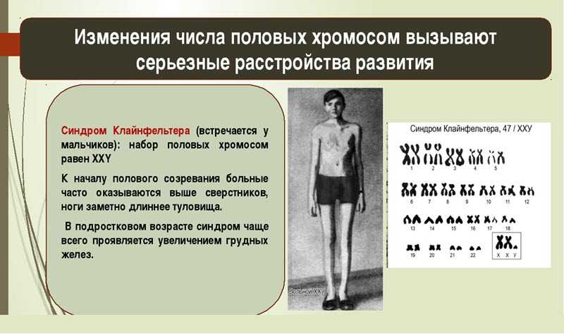 Кто такие небинарные люди и как к ним обращаться