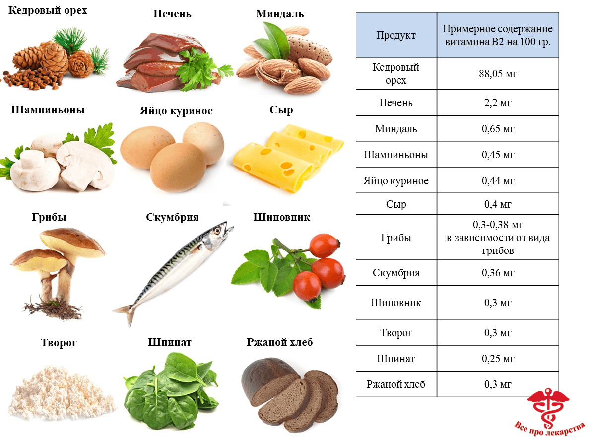 Схема b1 b6 b12