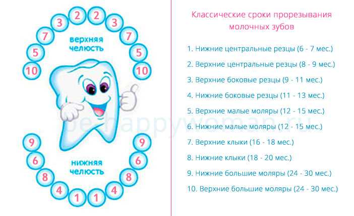 Какие первые зубы лезут у малышей схема