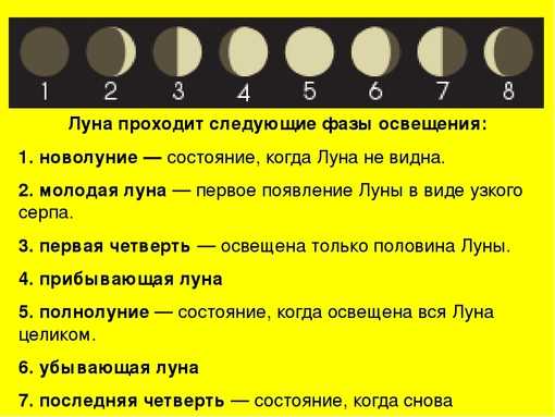 В чем заключается скрытая сила волос - самые правдивые приметы  :: инфониак