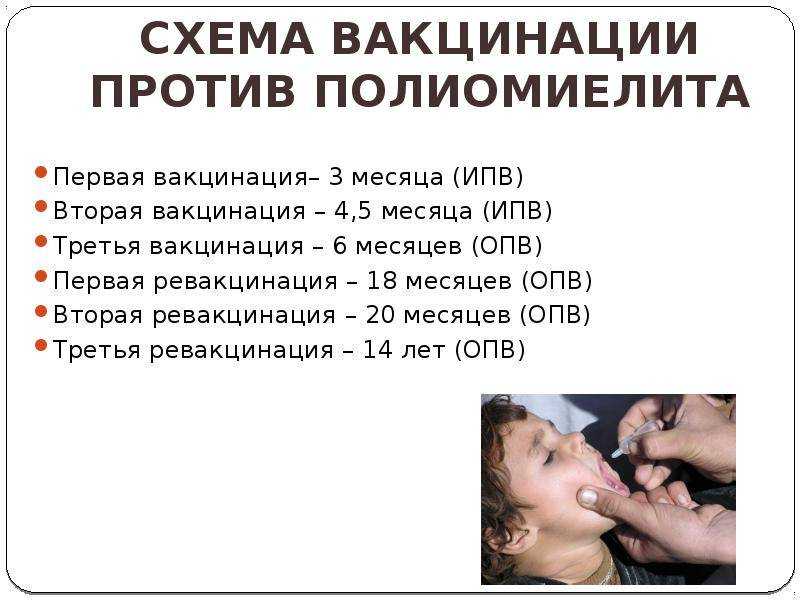 Правильная схема прививок для ребенка не привитого против полиомиелита тест с ответами