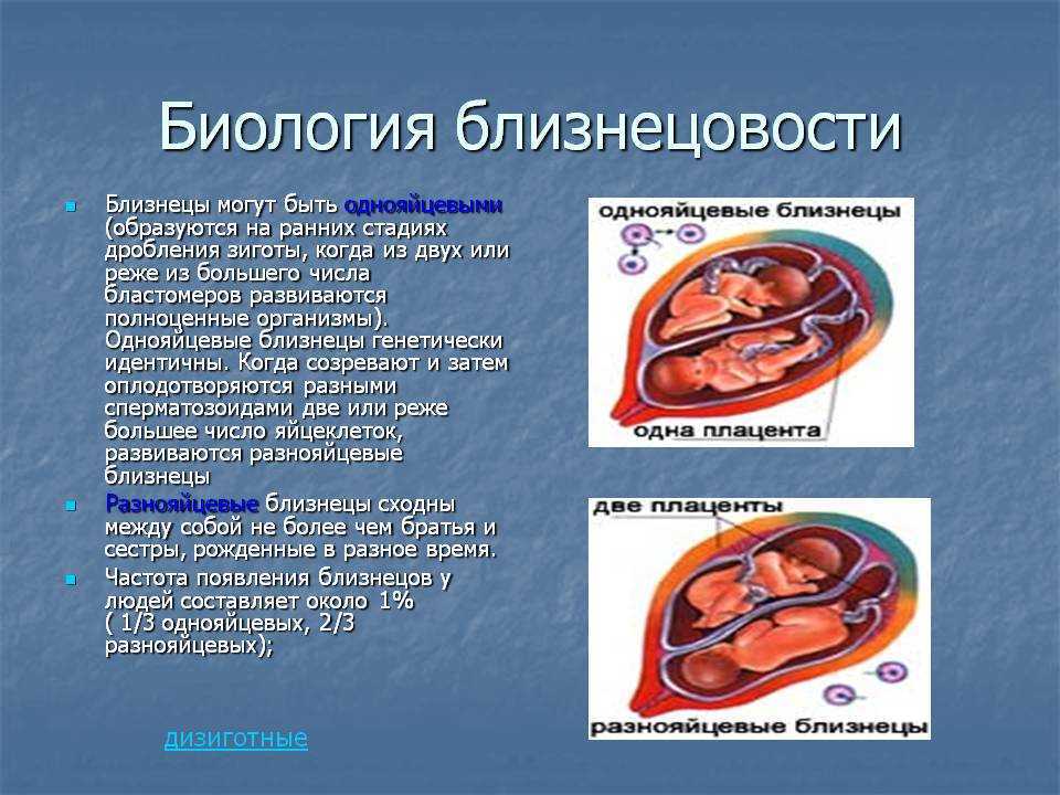Многоплодная беременность и её признаки на ранних сроках - agulife.ru