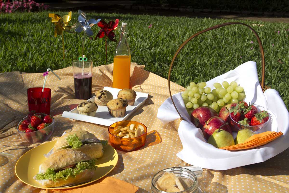 Что взять на пикник из еды: список и меню