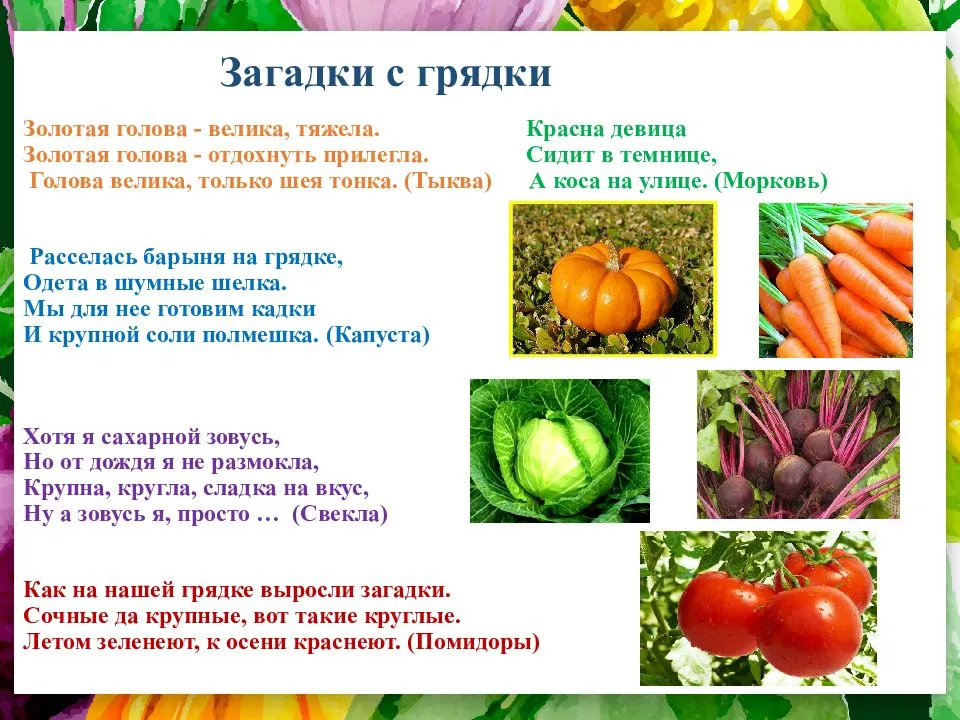 Загадки про огород и овощи для детей с ответами