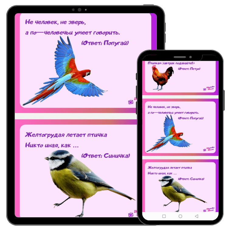 Загадки про птиц для дошкольников