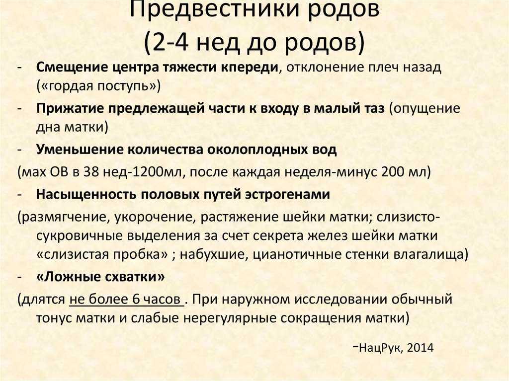 Cиндром гнездования у беременных: на каком сроке у беременных начинается период гнездования?